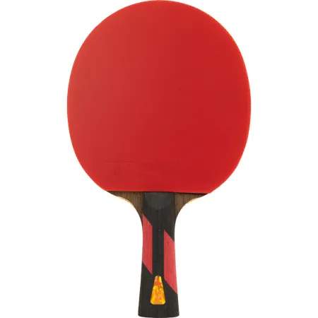 Ракетка для н/т DOUBLE FISH 7A+C, для професс.,ITTF Appr.,накл.2,1мм,+ 2 мяча V40+мм ITTF Appr за 3&nbsp;559.80 ₽ купить в Ростове-на-Дону