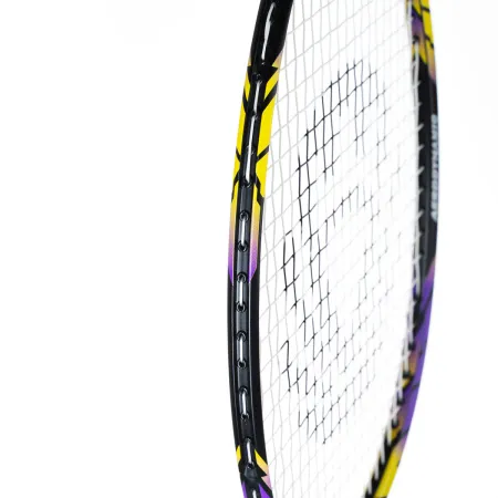Ракетка бадм. TORRES Carbon PRO6, BD20521,для продв., стерж/обод из карбона,со струнами, фиол за 4&nbsp;477.80 ₽ купить в Ростове-на-Дону
