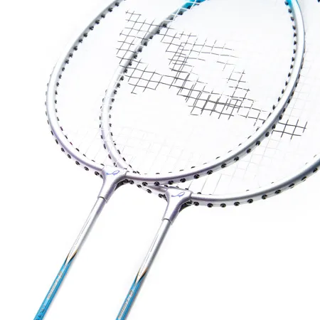 Набор для бадм. DOUBLE FISH JINQUE LT-119+, дл.660мм, для любит.,стал. стерж, алюм.обод, серебристый за 1&nbsp;710.20 ₽ купить в Ростове-на-Дону