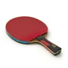Ракетка для н/т DOUBLE FISH 7A+C, для професс.,ITTF Appr.,накл.2,1мм,+ 2 мяча V40+мм ITTF Appr за 3&nbsp;559.80 ₽ купить в Ростове-на-Дону