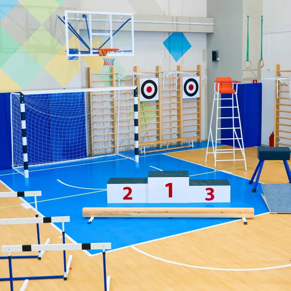Щит для метания навесной на шведскую стенку (фанера) 700х700 ZAVODSPORTA за 8&nbsp;960 ₽ в Ростове-на-Дону
