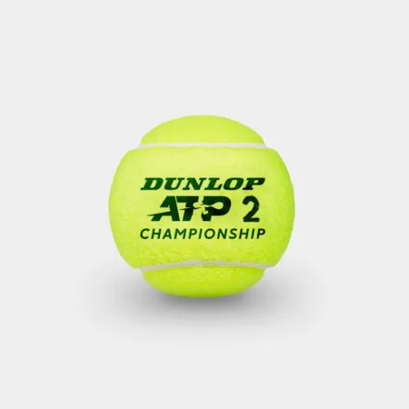 Мяч теннисный Dunlop ATP Championship 3B, 601626, уп.3ш, одобр. ITF, нат.резина,фетр. за 943.50 ₽ купить в Ростове-на-Дону