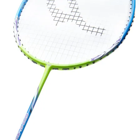 Ракетка для бадм. DOUBLE FISH JINQUE QT-1601, для продвинутых,карбон со струнами,литая,голубой за 3&nbsp;015.80 ₽ купить в Ростове-на-Дону