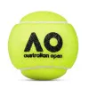 Мяч теннисный Dunlop Australian Open, 601601, уп..3 шт, одобр.ITF,фетр,нат.резина, желтый за 1&nbsp;171.30 ₽ купить в Ростове-на-Дону
