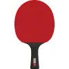 Ракетка для н/т DOUBLE FISH Black Carbon King Racket 5*****, для професс.,ITTF Appr.,накл.2,1,мм за 6&nbsp;434.50 ₽ купить в Ростове-на-Дону