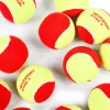 Мяч теннисный детский NS Red, 5021009, уп.12 шт, резина, шерть, нейлон, желто-красный за 2&nbsp;941 ₽ купить в Ростове-на-Дону
