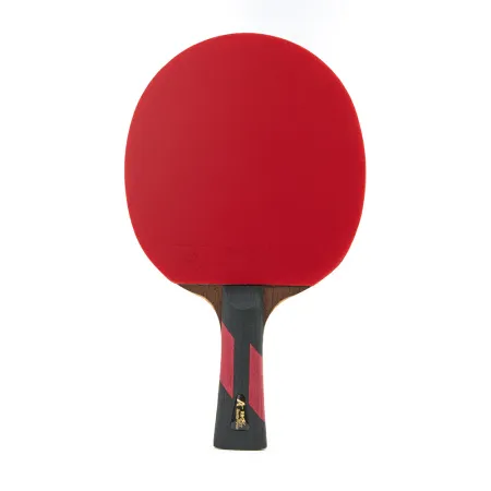 Ракетка для н/т DOUBLE FISH 7A+C, для професс.,ITTF Appr.,накл.2,1мм,+ 2 мяча V40+мм ITTF Appr за 3&nbsp;559.80 ₽ купить в Ростове-на-Дону
