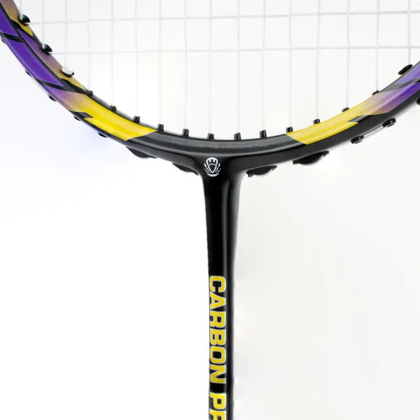 Ракетка бадм. TORRES Carbon PRO6, BD20521,для продв., стерж/обод из карбона,со струнами, фиол за 4&nbsp;477.80 ₽ в Ростове-на-Дону
