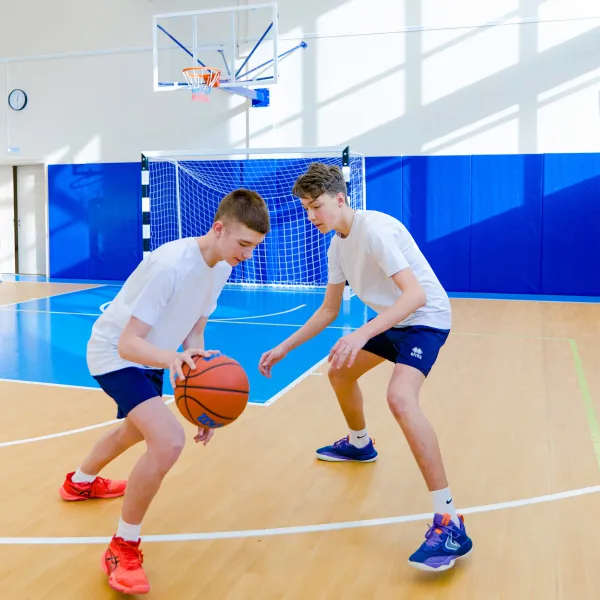 Щит баскетбольный игровой (монолитный поликарбонат) 1050х1800 мм ZAVODSPORTA за 47&nbsp;600 ₽ в Ростове-на-Дону